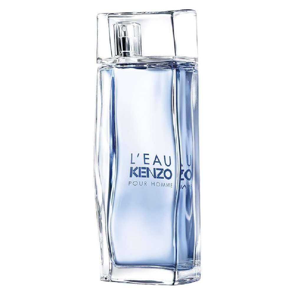 Eau De Toilette Spray for Men 3.4 Oz Q430958