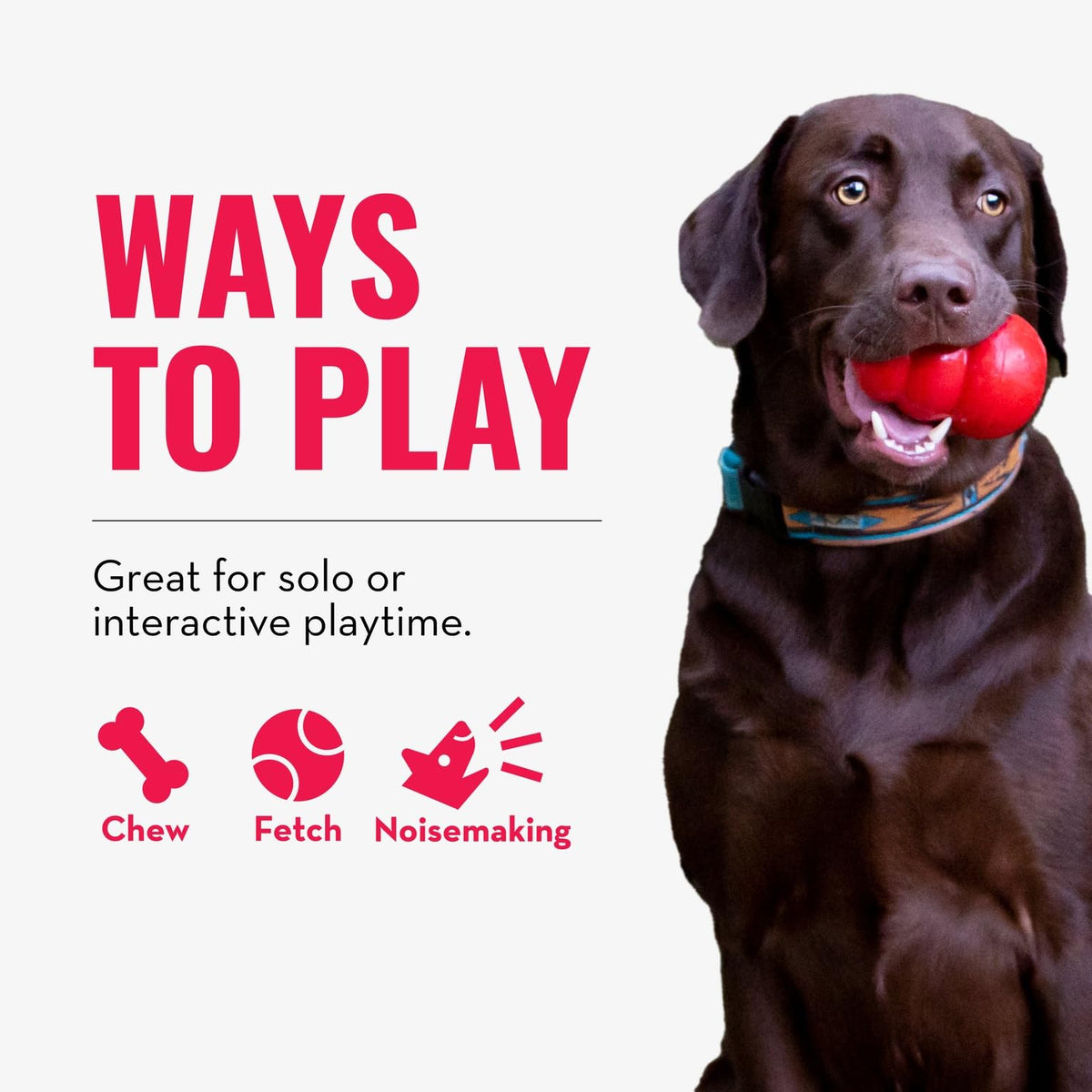 Dog Toy for Tug of War & Fetch, Pack of 2 R547321