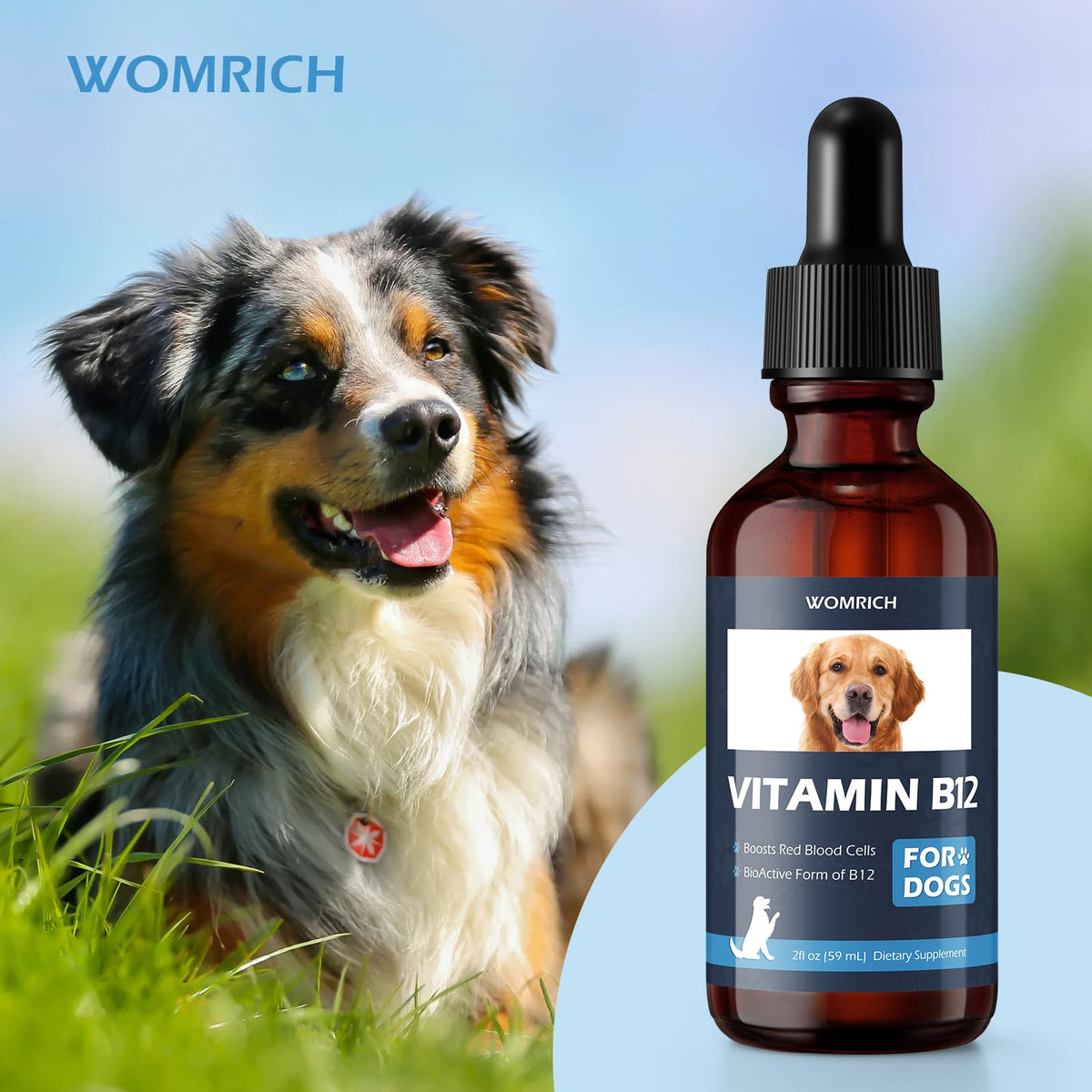 Vitamin B12 for Dogs N68223