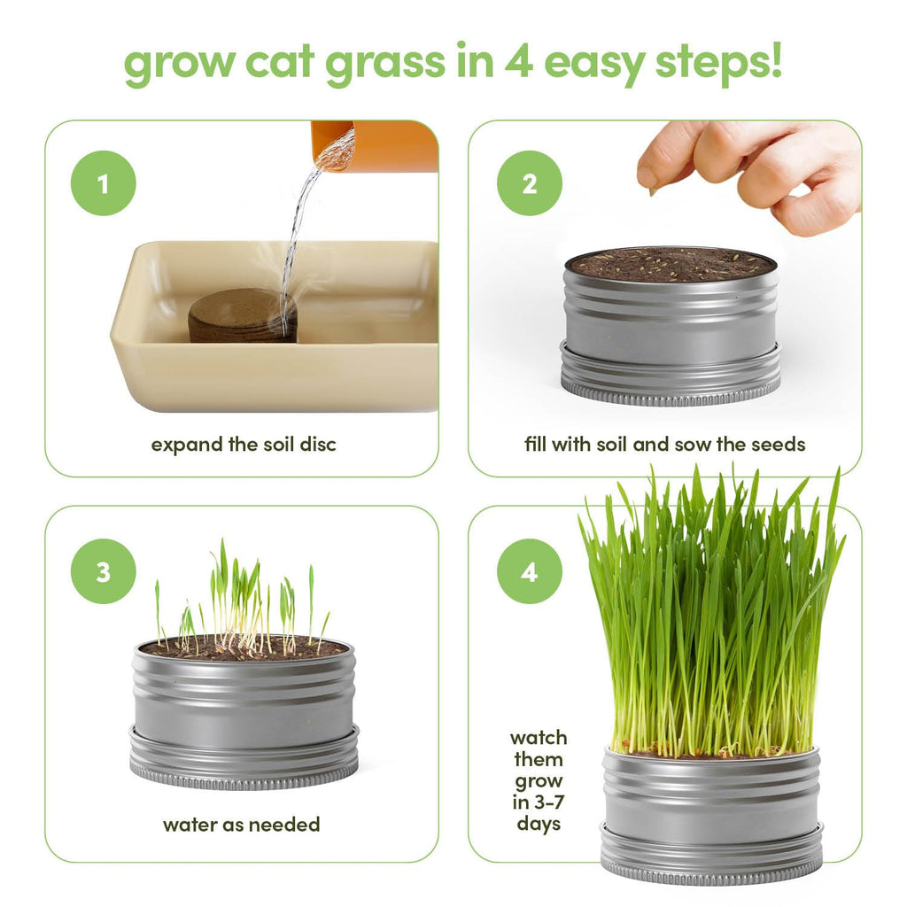 Cat Grass for Indoor Cats Kit E50761