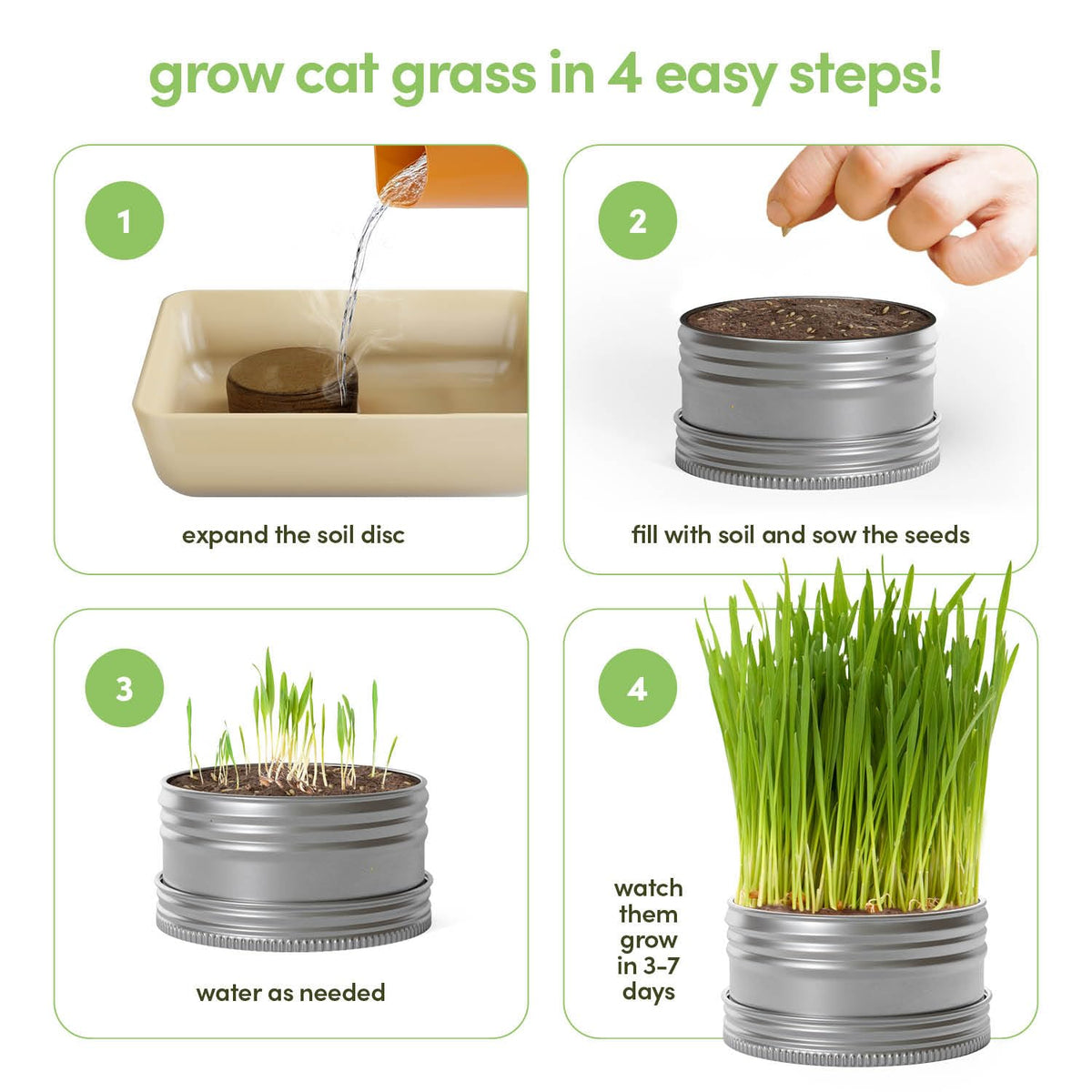 Cat Grass for Indoor Cats Kit E50761