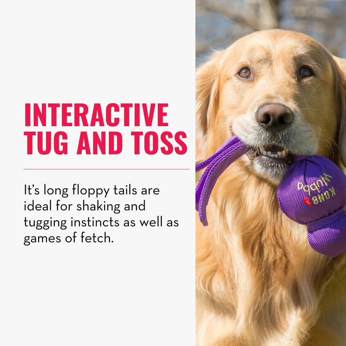Dog Toy for Tug of War & Fetch, Pack of 2 R547321