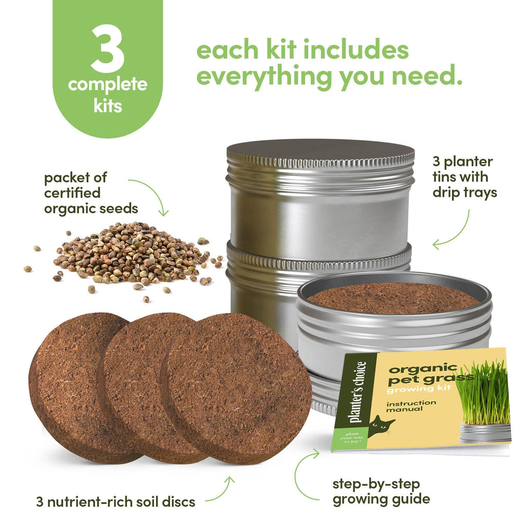 Cat Grass for Indoor Cats Kit E50761