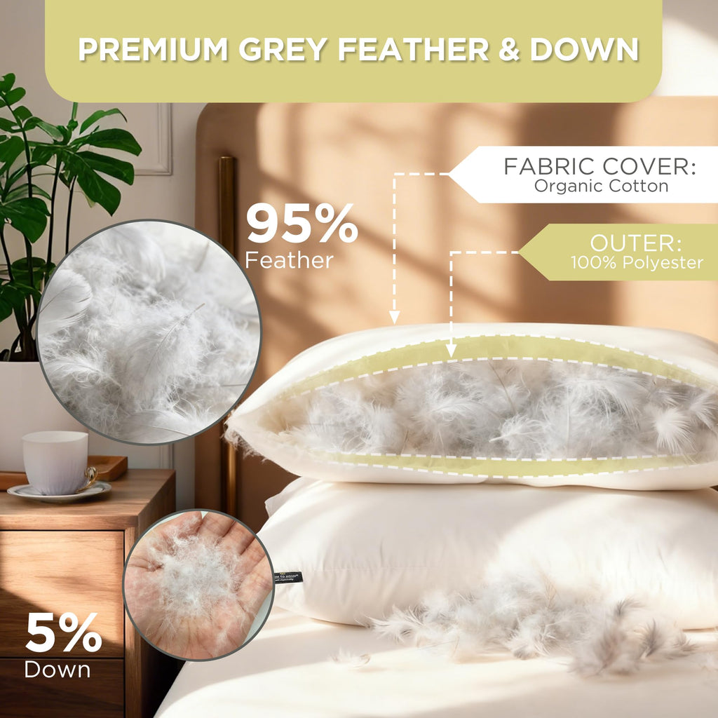 Feather and Down Pillows, 100% Organic Cotton Cover N250631