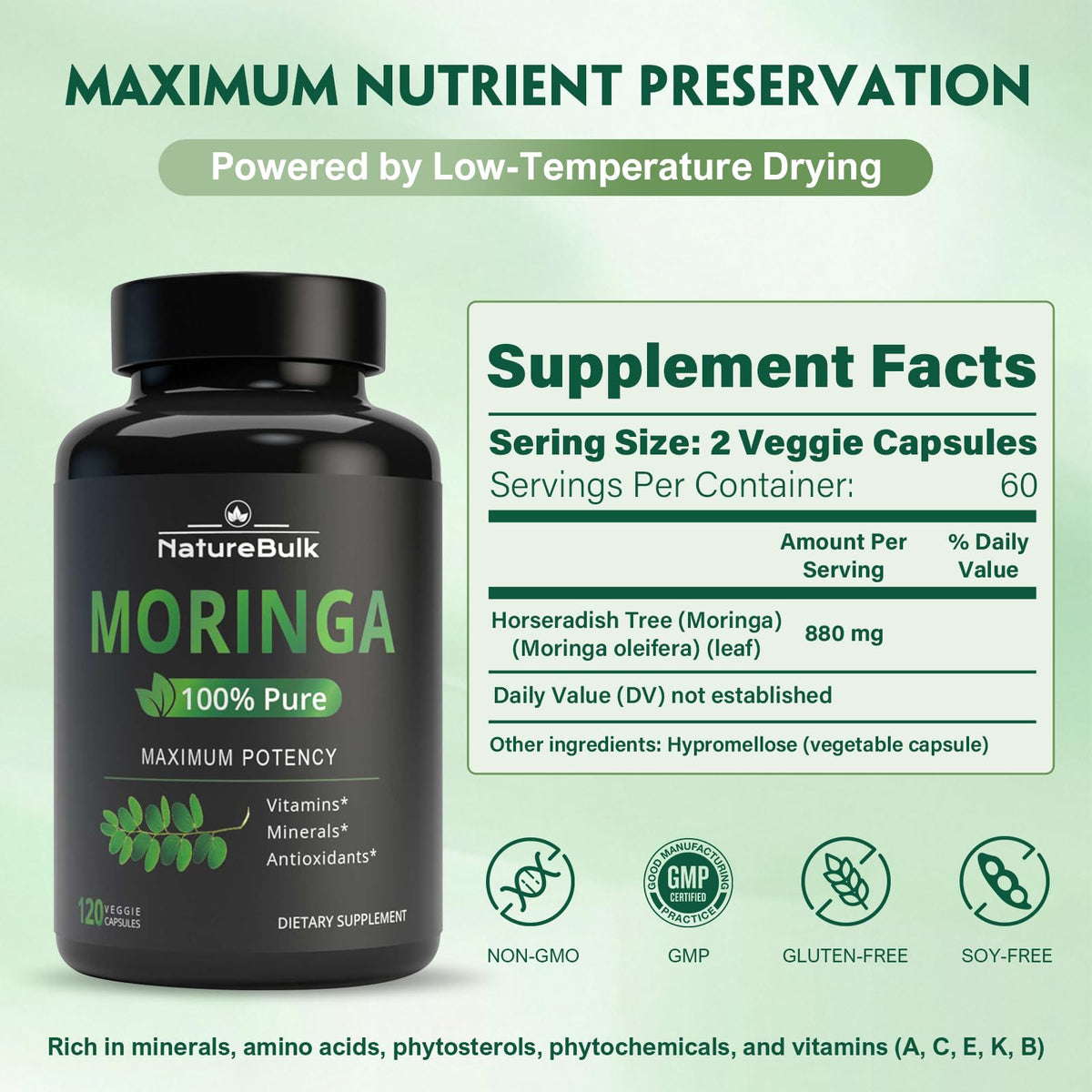 Moringa Oleifera Leaf Powder 880mg 120 Capsules F434