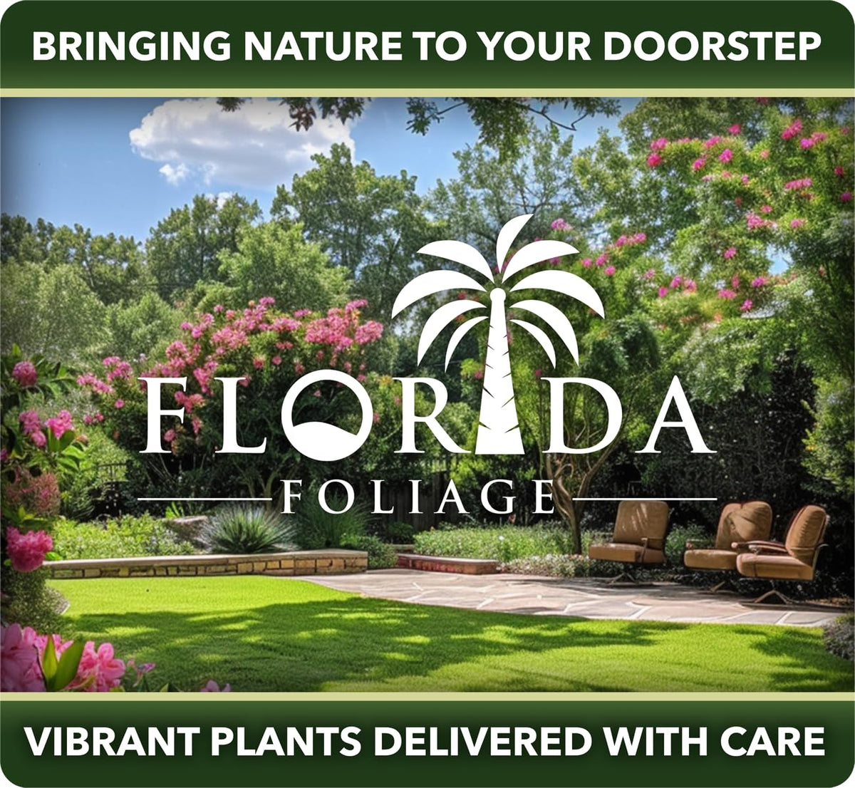 Frostproof Gardenia 2 Gallon Plants Fragrant Blooming Shrub V808