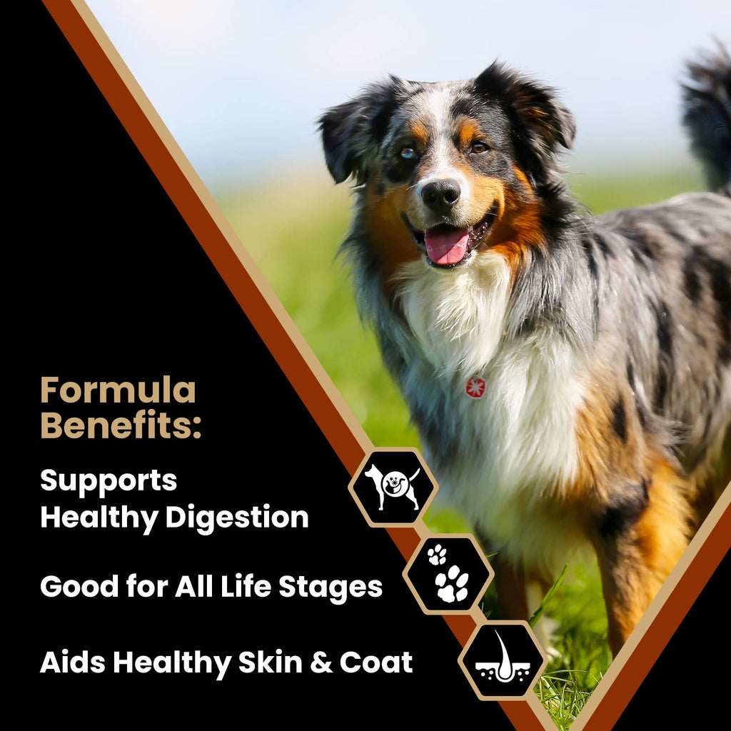 Chicken Meal & Brown Rice Formula Dry Dog Food, 40 lb V356312