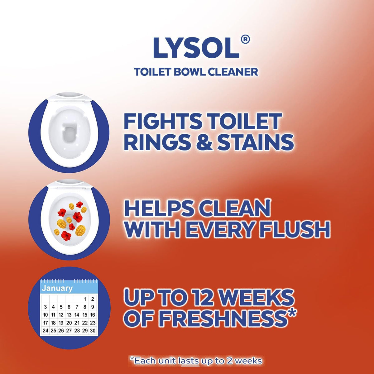 Mango Gel Toilet Bowl Cleaner 6 Count B8302