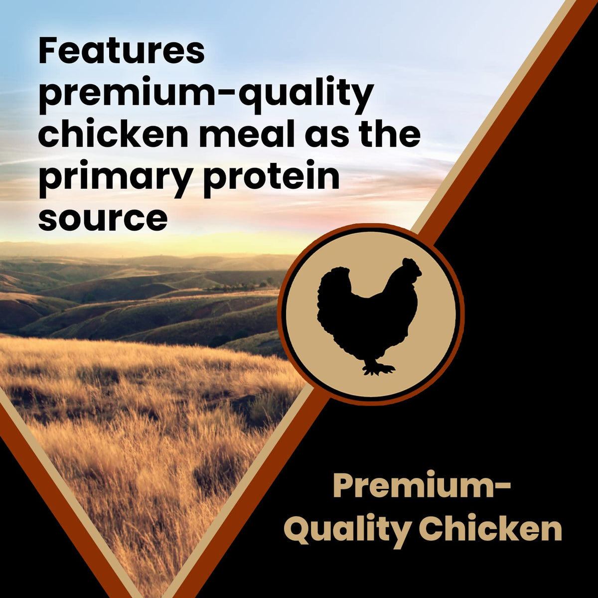 Chicken Meal & Brown Rice Formula Dry Dog Food, 40 lb V356312