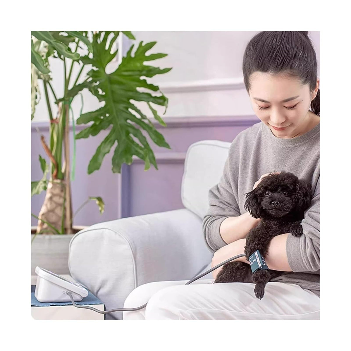 Pet Blood Pressure Monitor J59589
