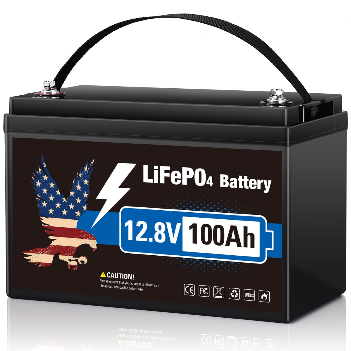 12V 100Ah LiFePO4 Lithium Battery Group 31 O487328