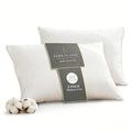 Feather and Down Pillows, 100% Organic Cotton Cover N250631