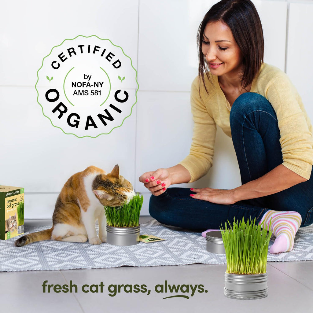 Cat Grass for Indoor Cats Kit E50761