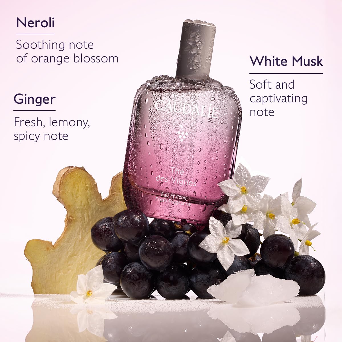 Fresh Fragrance 50 mL V680