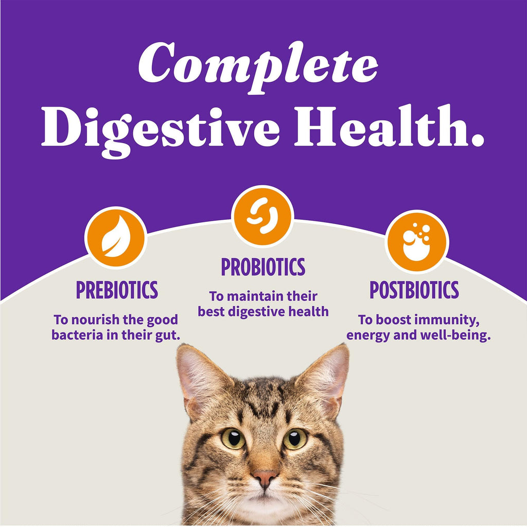 Indoor Dry Cat Food Cage-Free Chicken 3 lb O91510