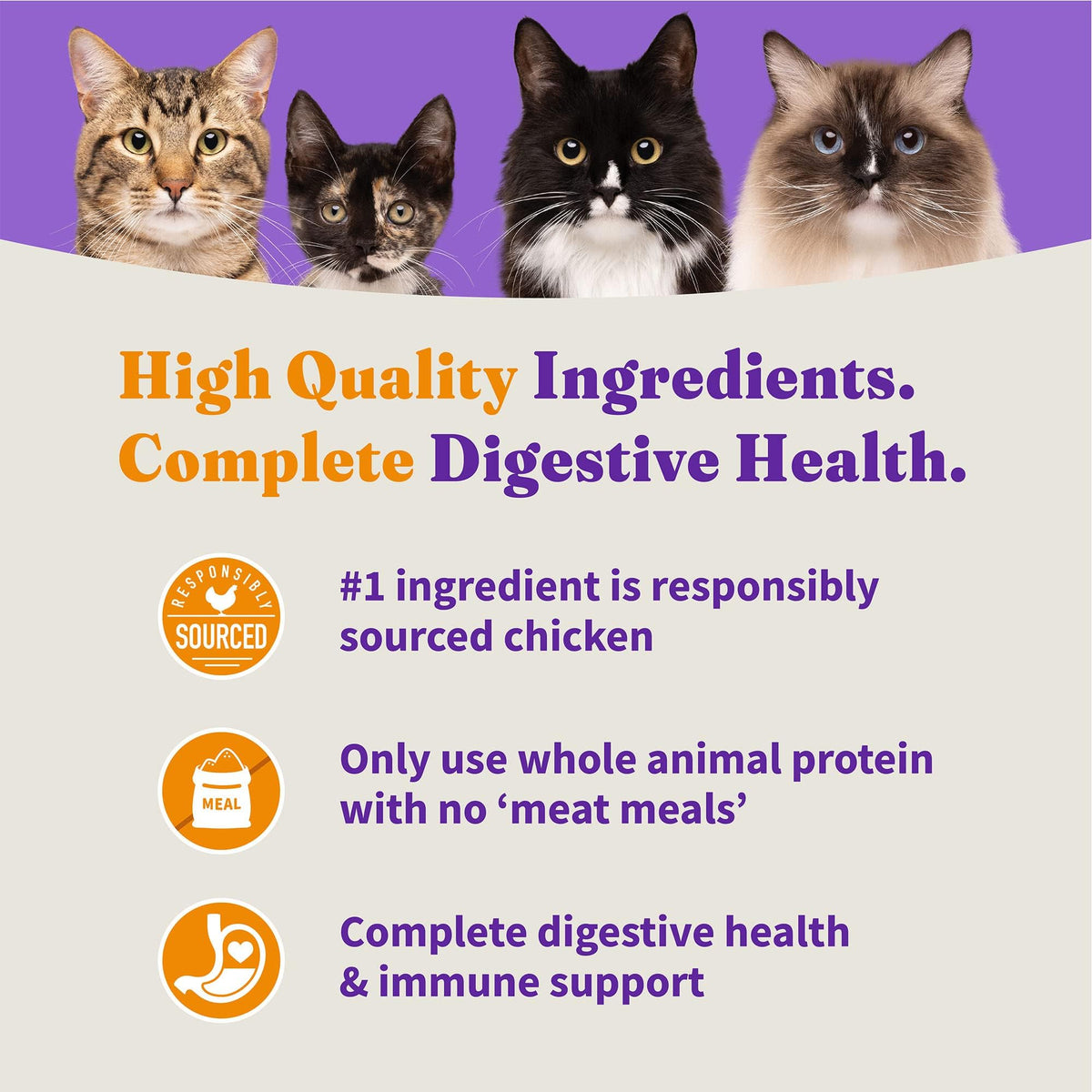 Indoor Dry Cat Food Cage-Free Chicken 3 lb O91510