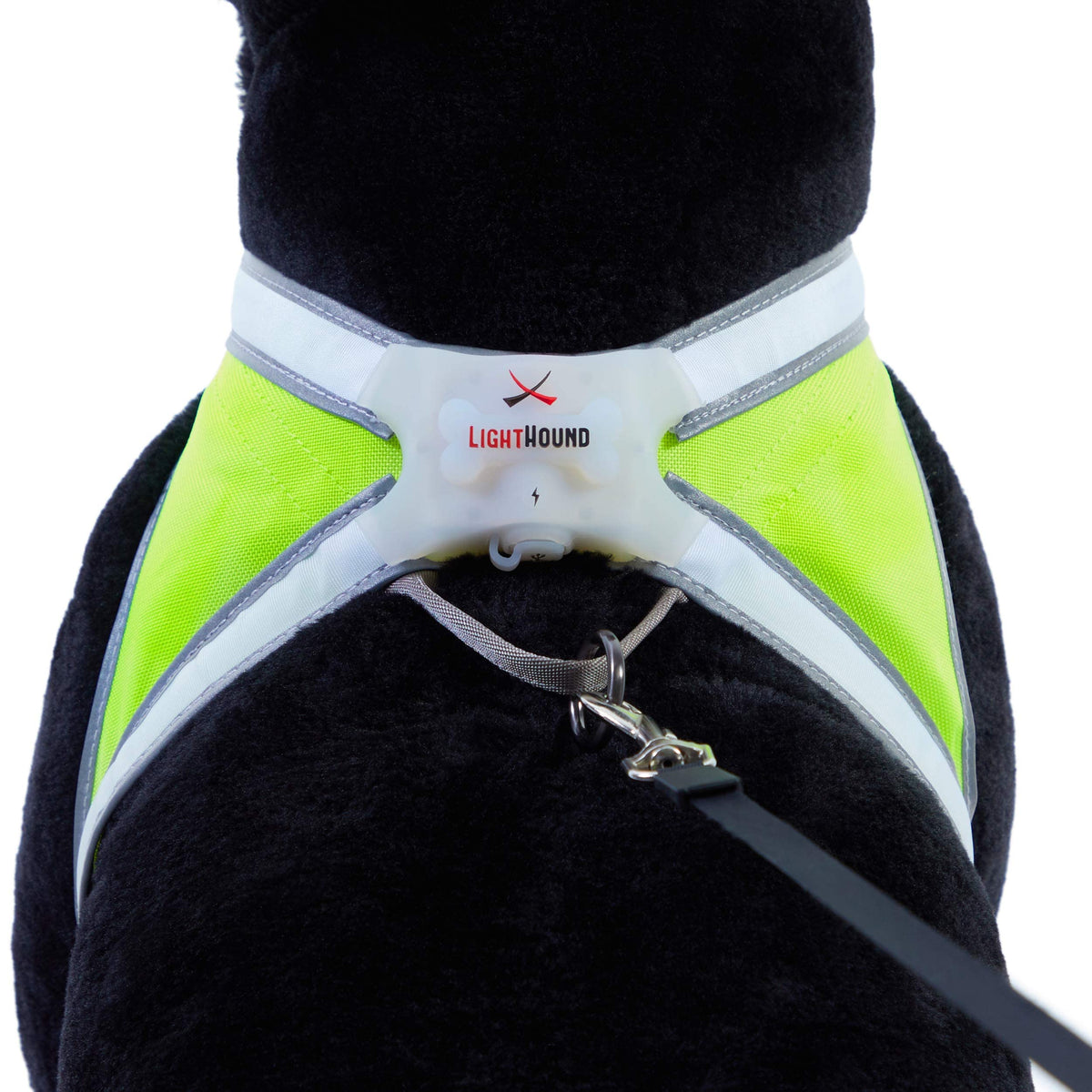 Reflective Light Up Dog Harness Large V696