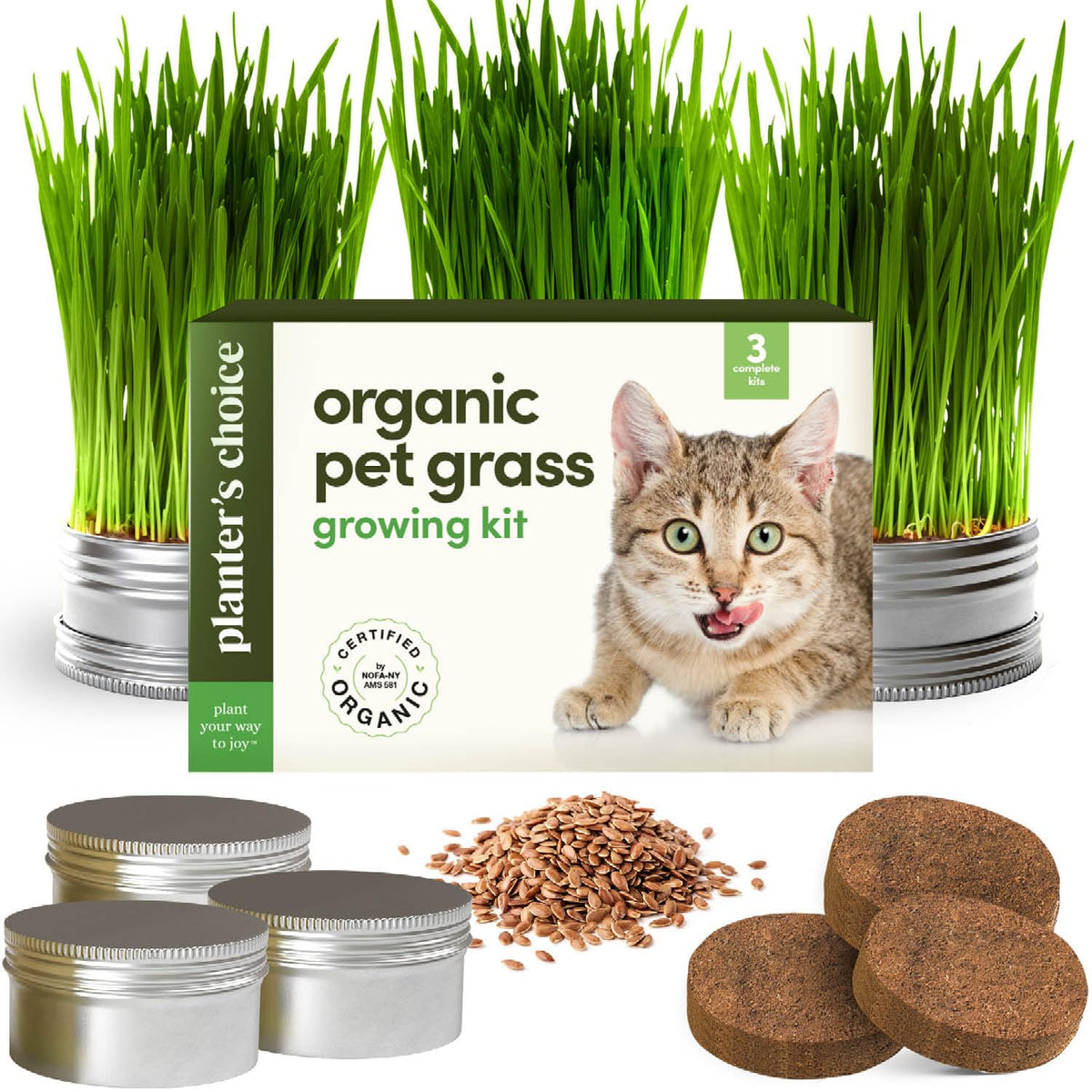 Cat Grass for Indoor Cats Kit E50761