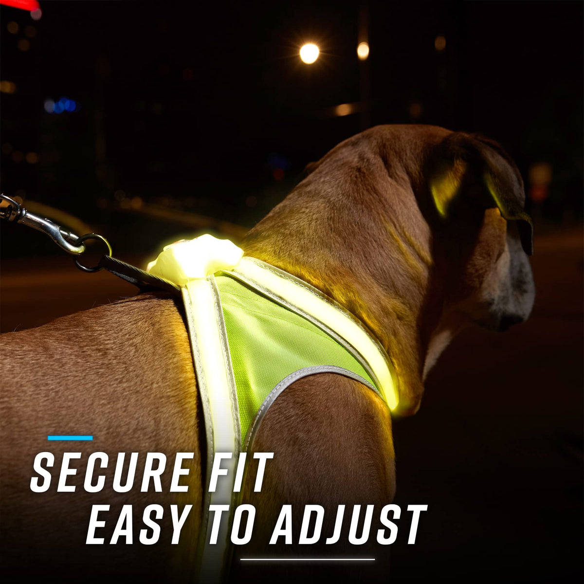 Reflective Light Up Dog Harness Large V696