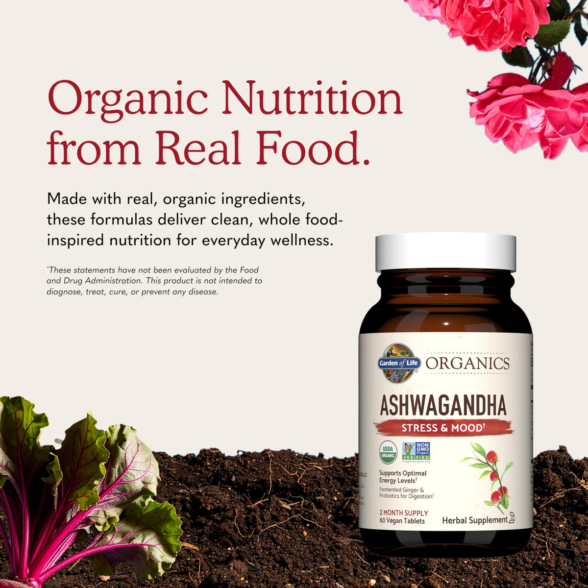 Organic Ashwagandha with Probiotics & Ginger U708549