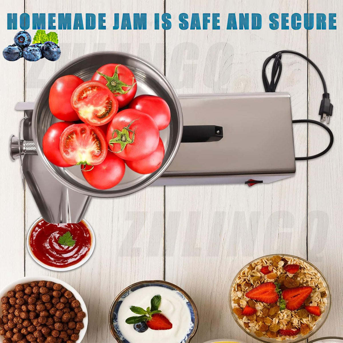 450W Stainless Steel Tomato Strainer Machine H4421
