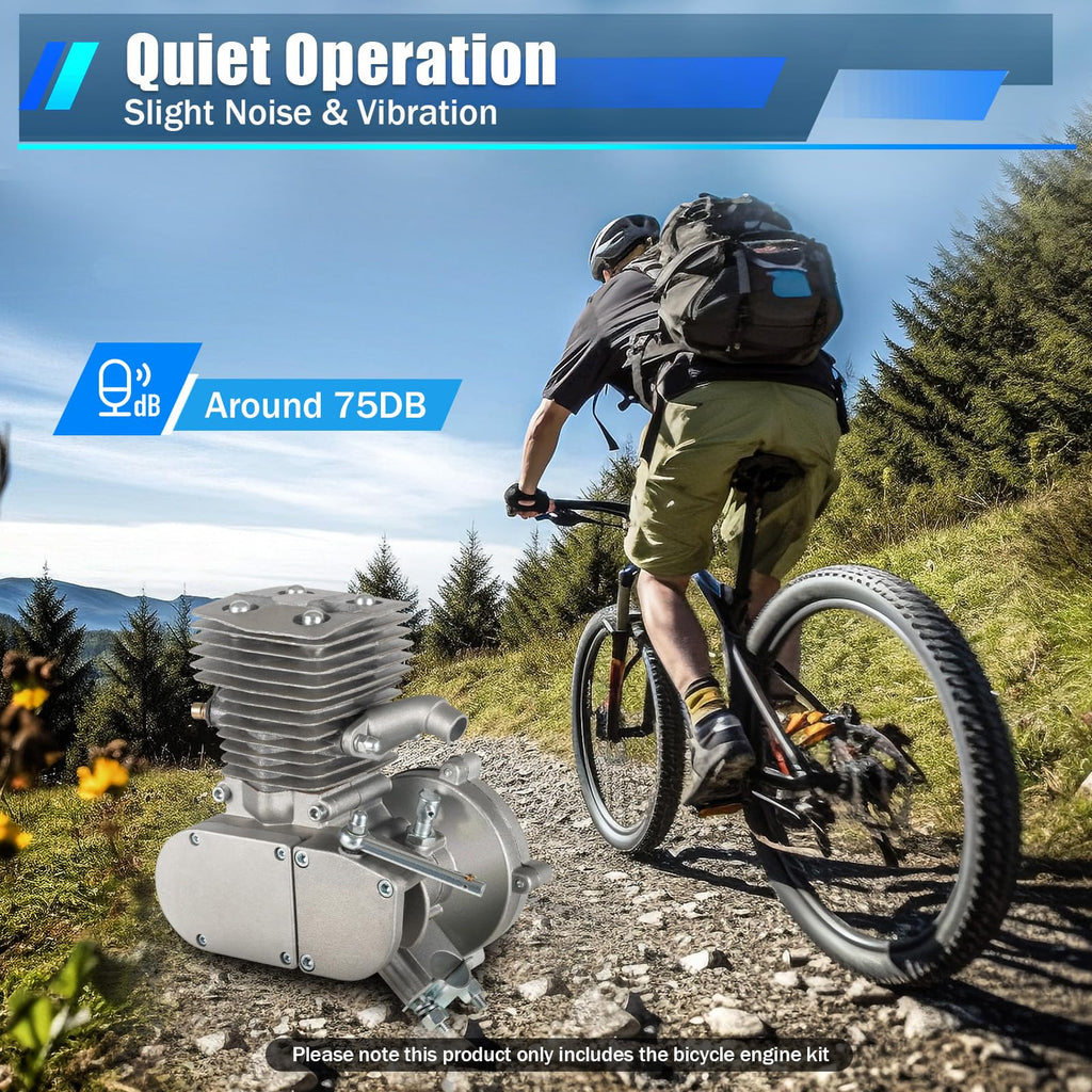100cc 2 Stroke Bicycle Engine Kit X886570