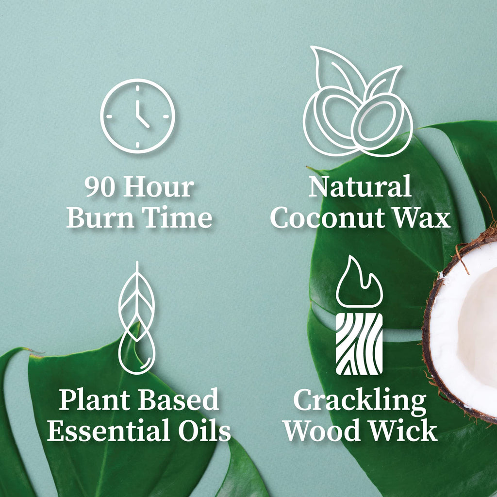 Wood Wick Candle 16 oz H959526