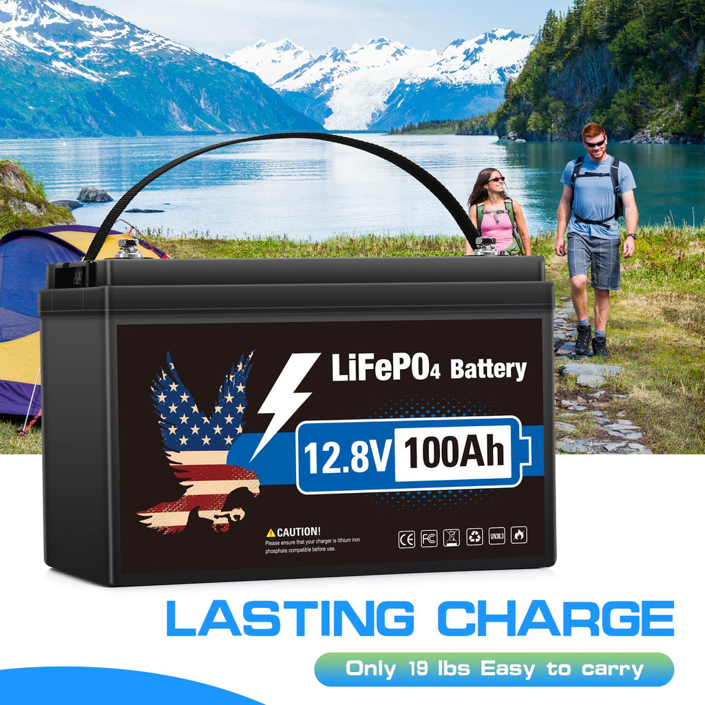 12V 100Ah LiFePO4 Lithium Battery Group 31 O487328
