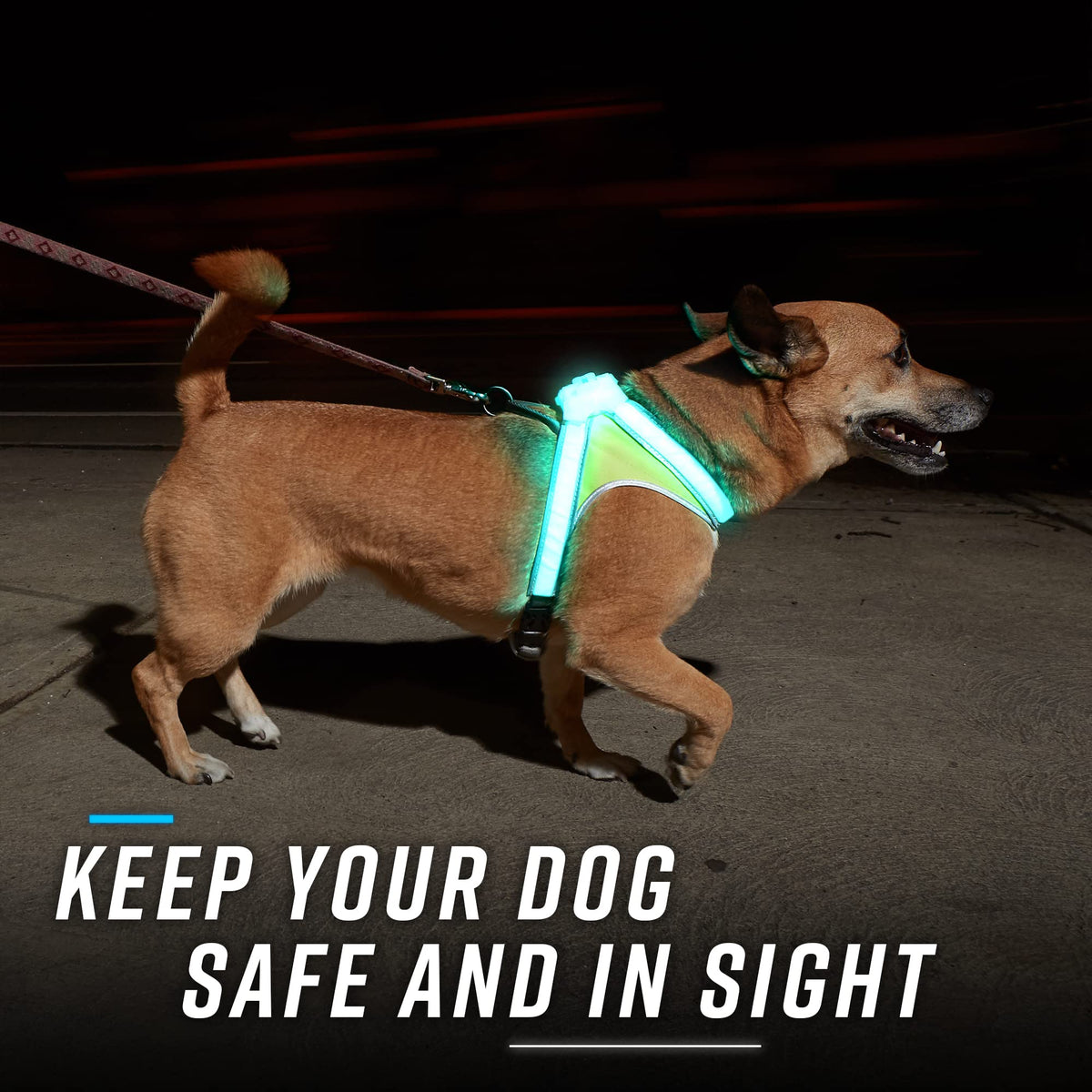 Reflective Light Up Dog Harness Large V696