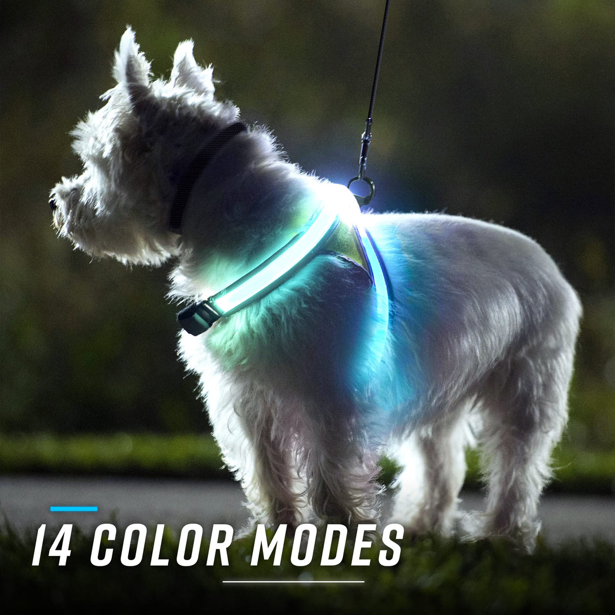 Reflective Light Up Dog Harness Large V696