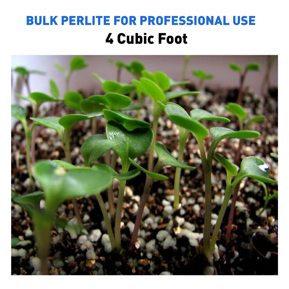 Horticultural Grade Expanded Perlite 4 Cubic Foot E6570