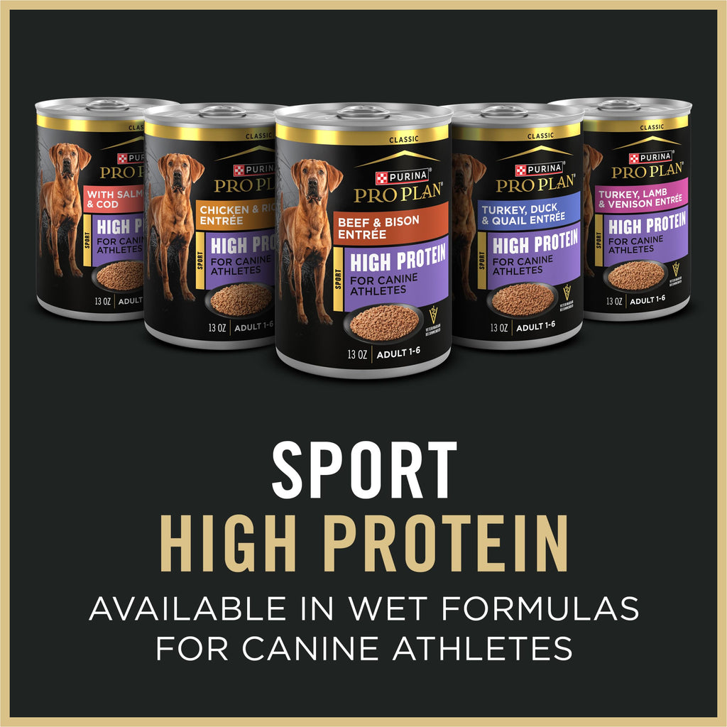 High Protein Small Bites Lamb & Rice Dog Food 37.5 Pound P990