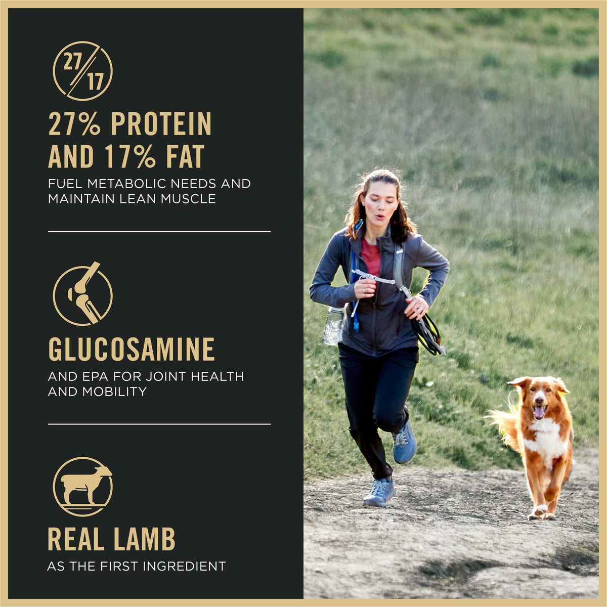 High Protein Small Bites Lamb & Rice Dog Food 37.5 Pound P990