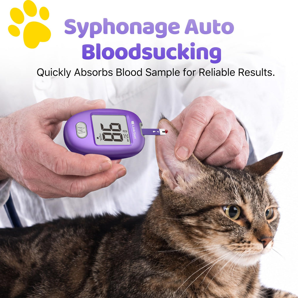 Pet Glucose Test Strip for Dogs & Cats, 100PCS E55355
