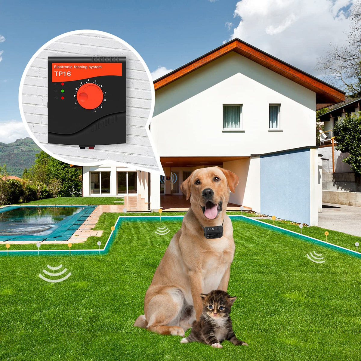 Electric Dog Fence, 984 Ft Wire, IP66 Waterproof Receiver E778