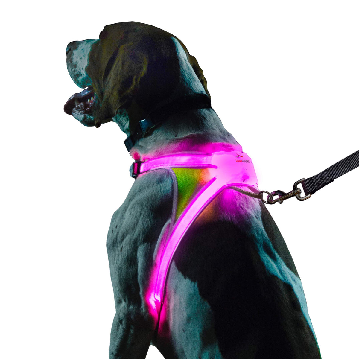Reflective Light Up Dog Harness Large V696