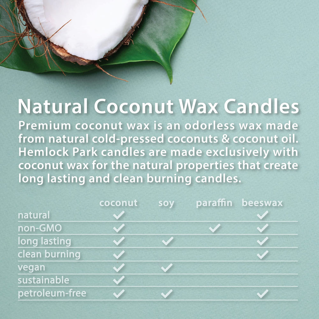Wood Wick Candle 16 oz H959526