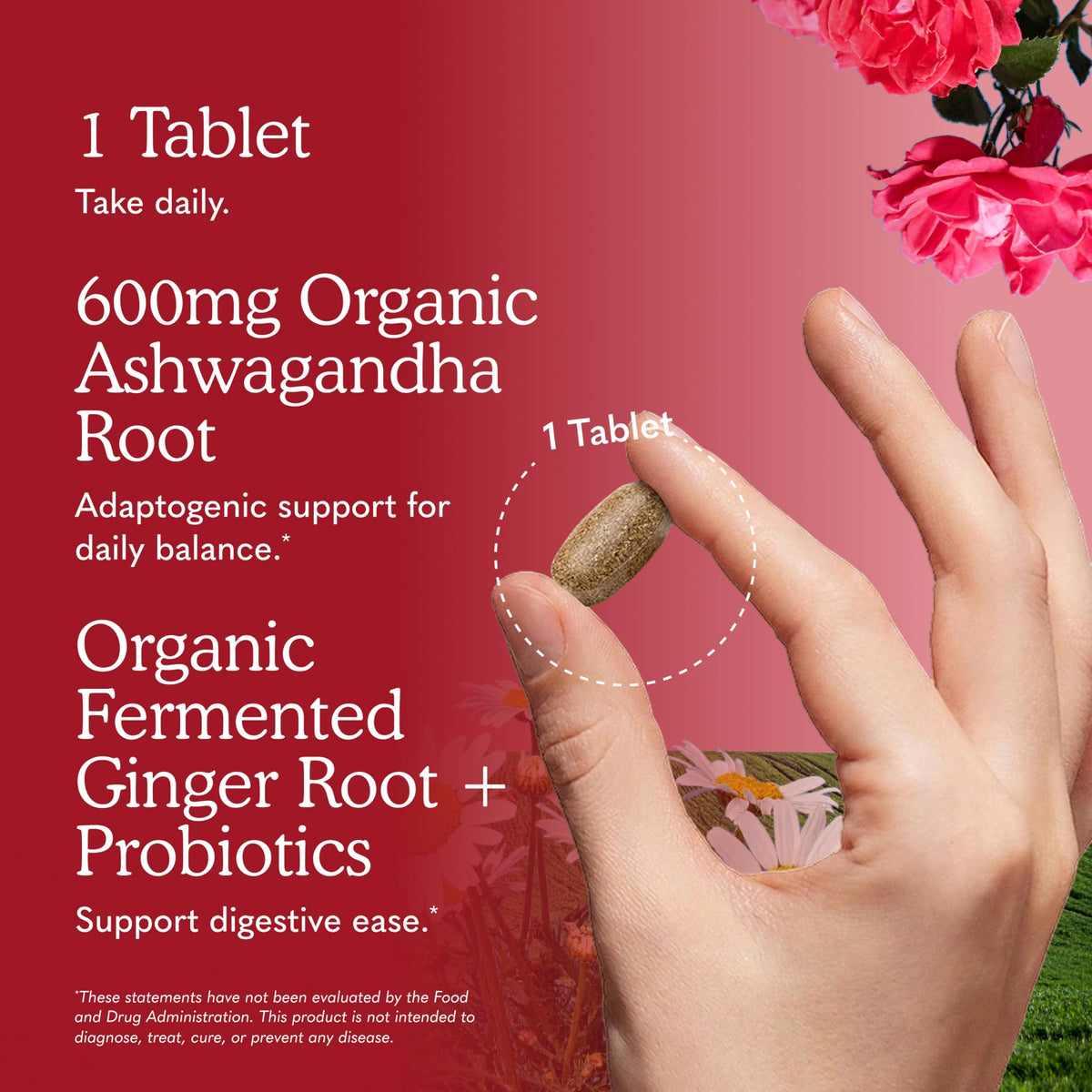 Organic Ashwagandha with Probiotics & Ginger U708549
