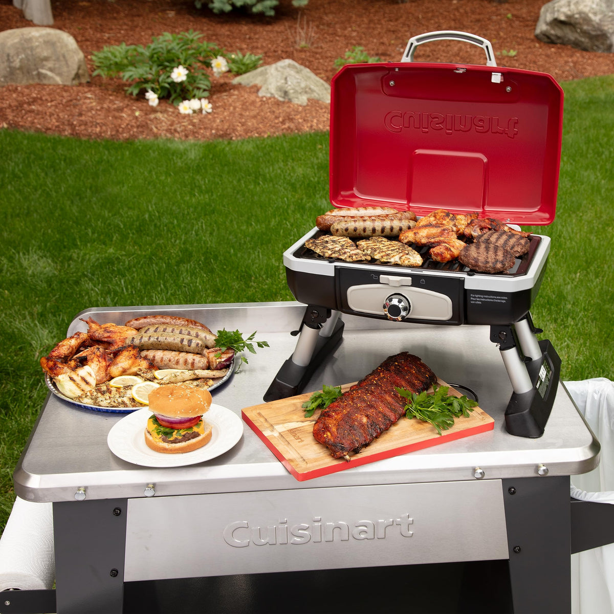 Portable Tabletop Propane Gas Grill & Refillable 1LB Propane Cylinder Tank U32225