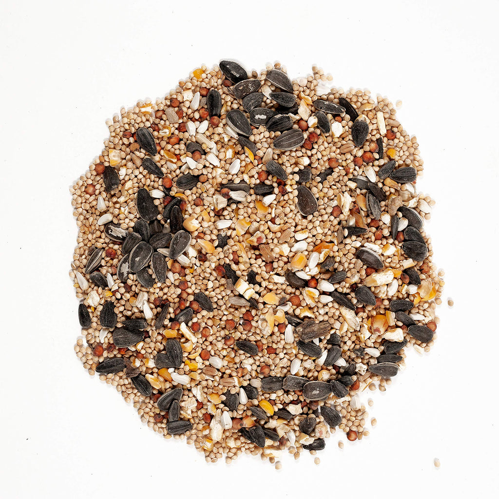 Wild Bird Food Regional Blends 20 lbs B59513